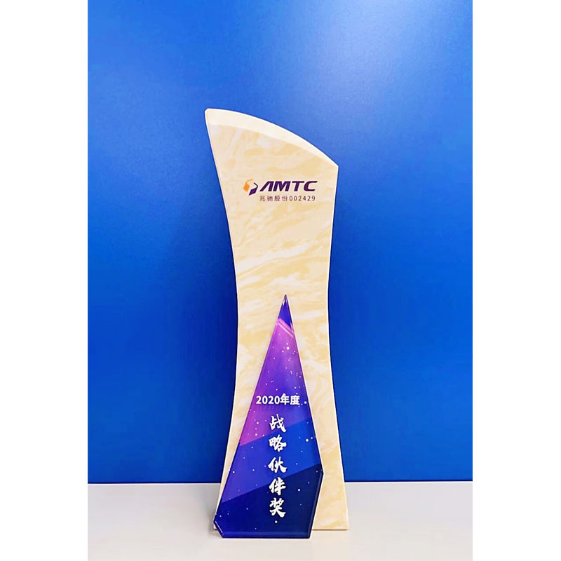 戰(zhàn)略伙伴獎
